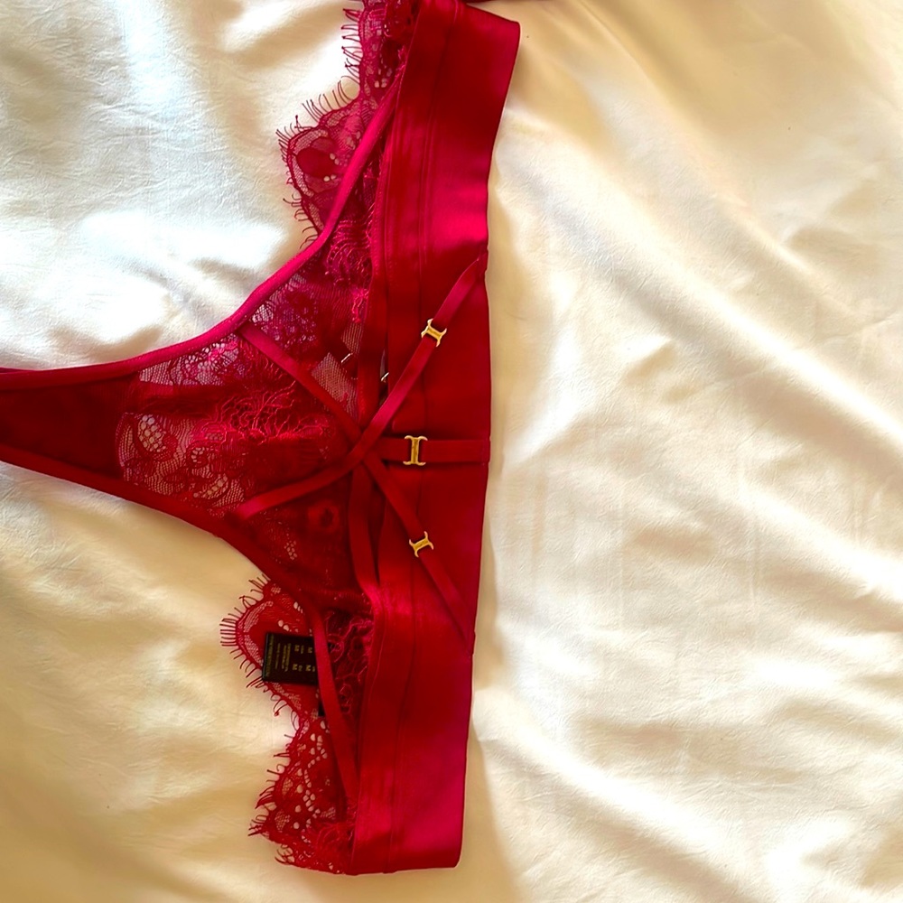 Honey Birdette bra and pantry set .
